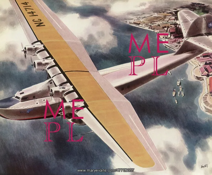 : Large Airliner : Large Airliner