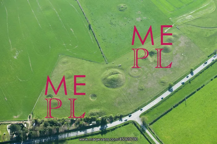 : Large Bronze Age Round Barrow Cemetery earthwork : Large Bronze Age Round Barrow Cemetery earthwork