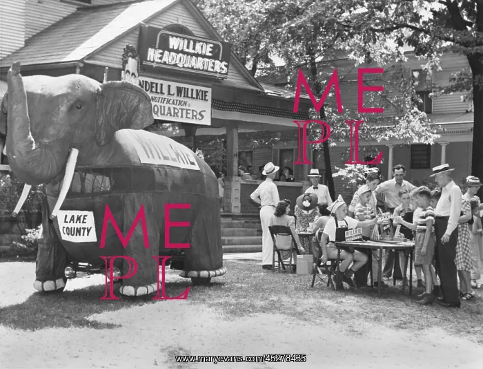 : A large cloth elephant attacks shoppers to a souvenir : A large cloth elephant attacks shoppers to a souvenir