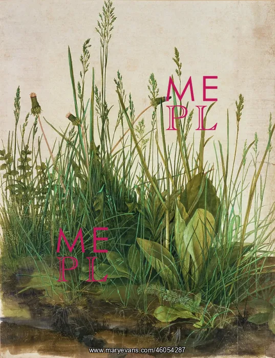 : Large clump of turf : Large clump of turf