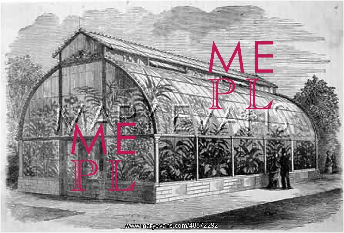 : Large conservatory : Large conservatory