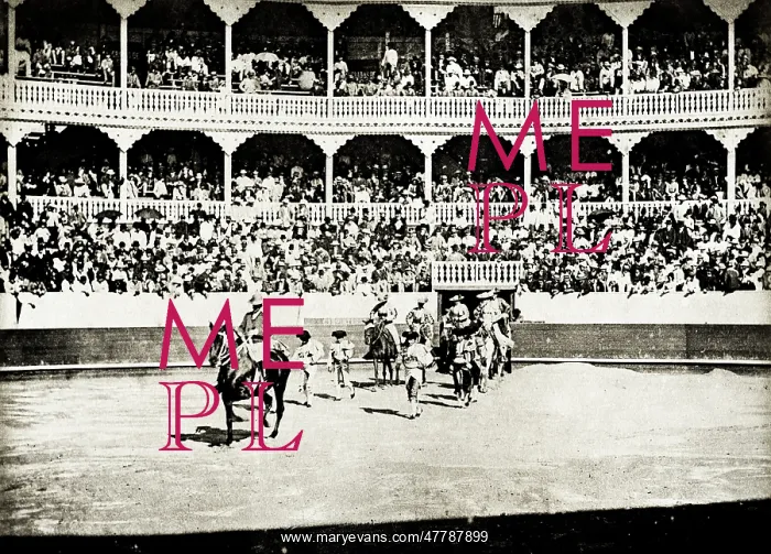 : Large crowd at a bullfight, bullfighting ring, Spain : Large crowd at a bullfight, bullfighting ring, Spain