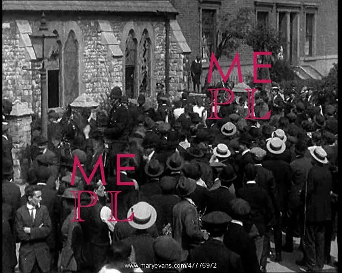 : A Large Crowd Surrounding and Assaulting A : A Large Crowd Surrounding and Assaulting A