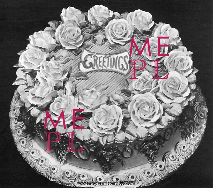 : Large Decorated Party Cake : Large Decorated Party Cake