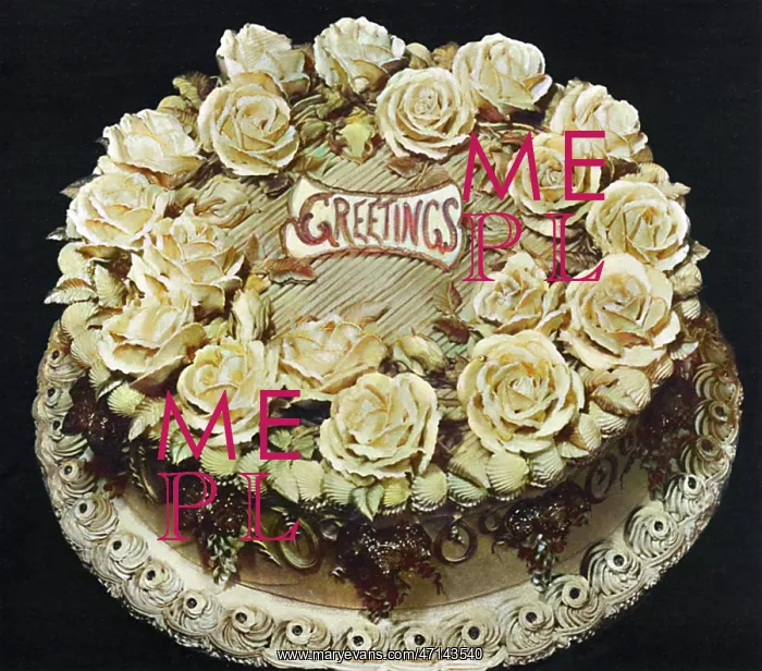 : Large Decorated Party Cake : Large Decorated Party Cake