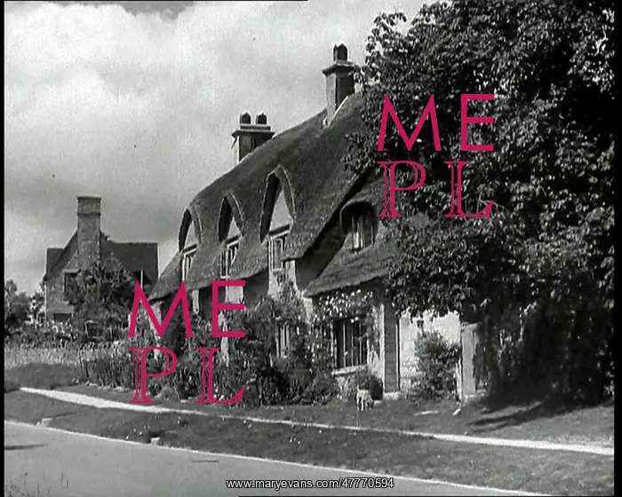 : A Large Detached Thatched Cottage Next to a : A Large Detached Thatched Cottage Next to a