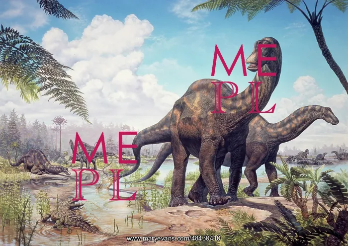 : Large Dicraeosaurus sauropods from the Late Cretaceous of ? : Large Dicraeosaurus sauropods from the Late Cretaceous of ?