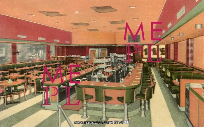 : Large Diner : Large Diner