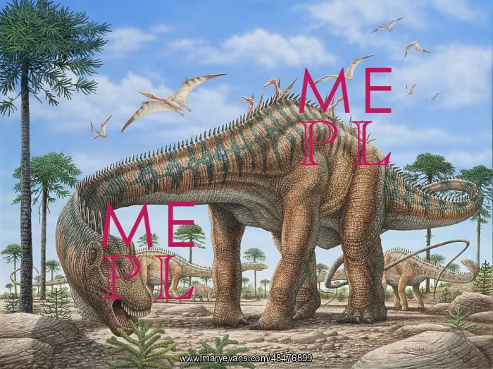  : A large Diplodocus dinosaur grazing on ferns