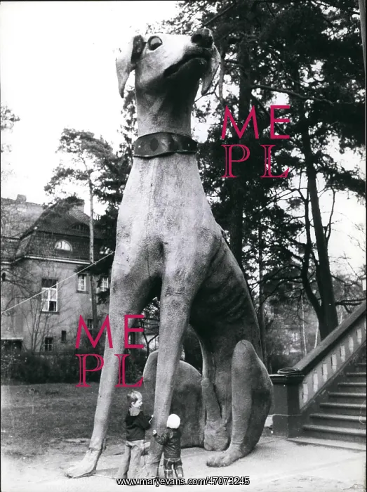 : Large dog and children in garden, Berlin : Large dog and children in garden, Berlin