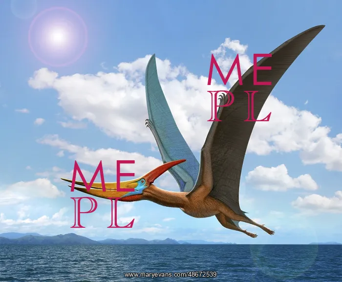 : A large flying reptile, Pteranodon, flying over the ocean : A large flying reptile, Pteranodon, flying over the ocean
