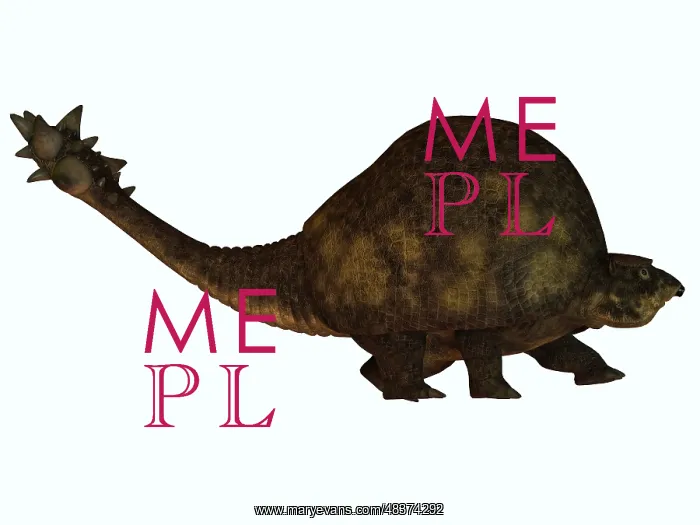 : A large glyptodont from the Pleistocene epoch : A large glyptodont from the Pleistocene epoch