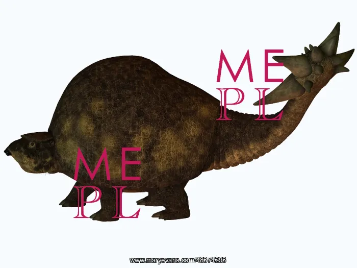 : A large glyptodont from the Pleistocene epoch : A large glyptodont from the Pleistocene epoch