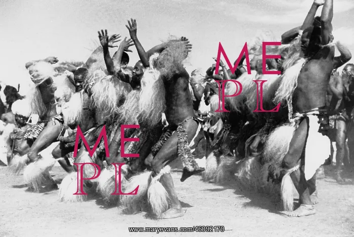 : Large Group of Dancing Zulus : Large Group of Dancing Zulus