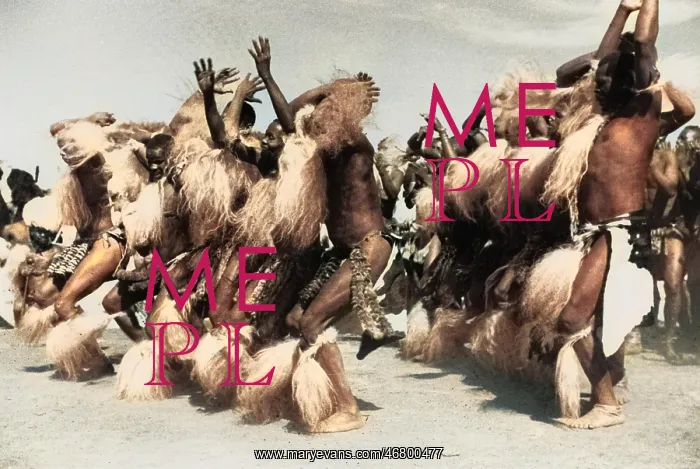 : Large Group of Dancing Zulus : Large Group of Dancing Zulus