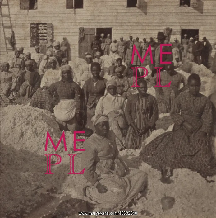 : Large group of emancipated African Americans : Large group of emancipated African Americans