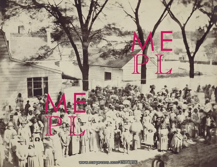 : A large group of enslaved African Americans : A large group of enslaved African Americans