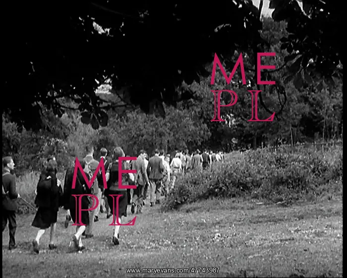 : A Large Group of Hikers Walking in the Countryside : A Large Group of Hikers Walking in the Countryside
