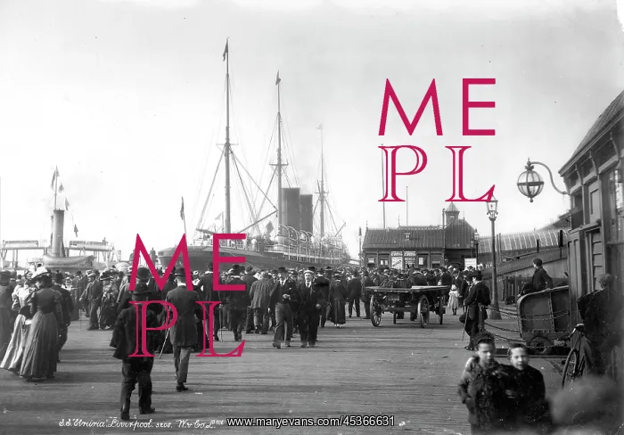 : A large group of people converge towards the steam : A large group of people converge towards the steam