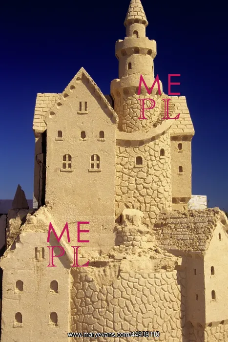 : Large Intricate : Large Intricate