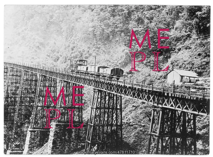 : A large Iron-built trestle railway viaduct, Mexico : A large Iron-built trestle railway viaduct, Mexico
