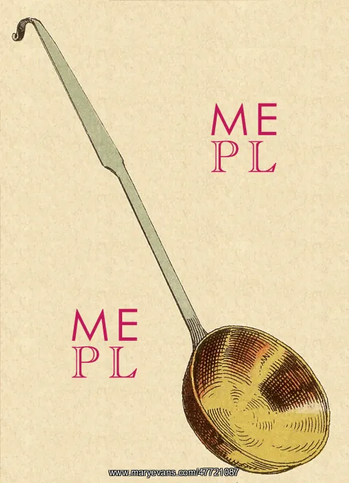 : Large Ladle : Large Ladle