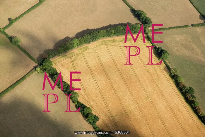 : A large, likely prehistoric, enclosure crop mark : A large, likely prehistoric, enclosure crop mark
