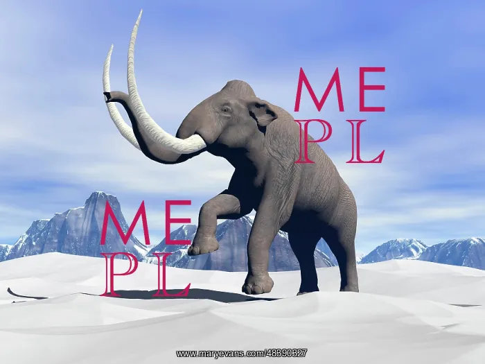 : Large mammoth walking slowly on the snowy mountain : Large mammoth walking slowly on the snowy mountain