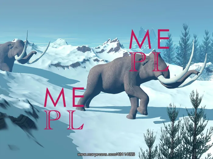 : Two large mammoths walking slowly on the snowy mountain : Two large mammoths walking slowly on the snowy mountain