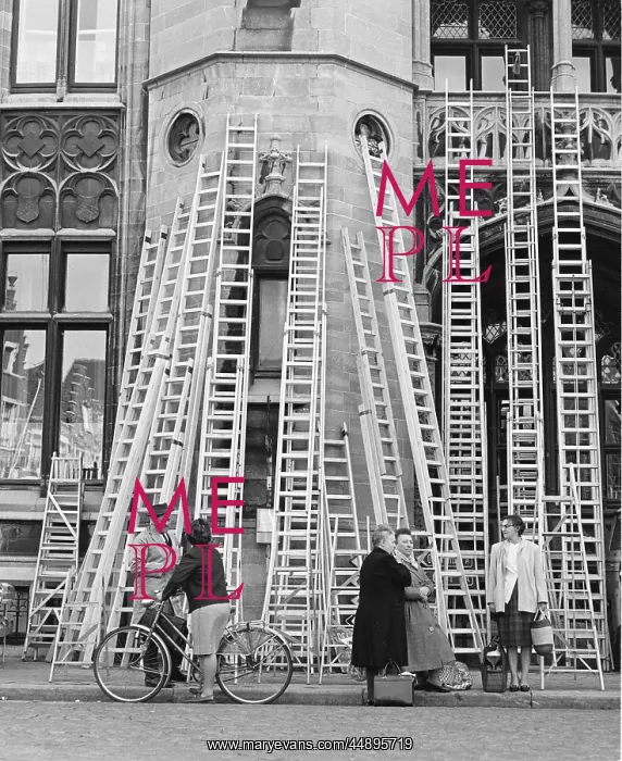 : Large number of ladders on display : Large number of ladders on display