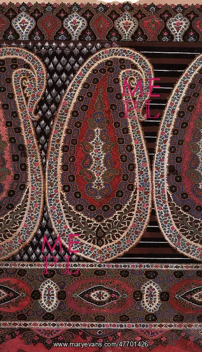 : Large Paisley Motif : Large Paisley Motif