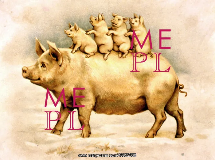 : Large pig with four piglets : Large pig with four piglets