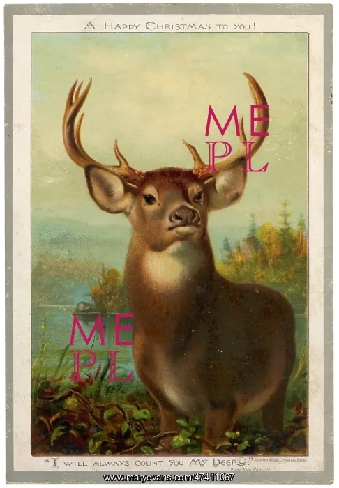  : LARGE STAG
