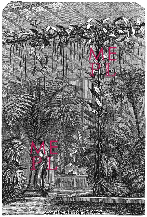 : A large Stove Conservatory : A large Stove Conservatory