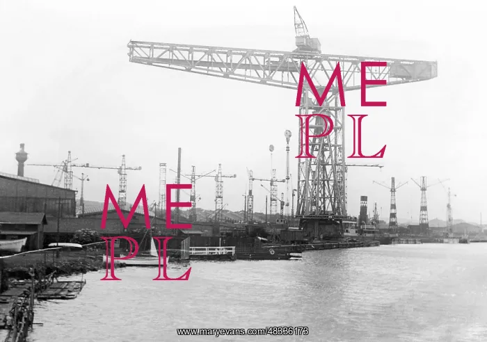 : Largest European crane in the shipyard of Gdansk : Largest European crane in the shipyard of Gdansk