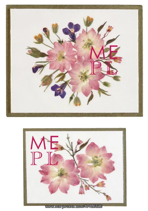 : Larkspur, Lobelia and Rosebud : Larkspur, Lobelia and Rosebud