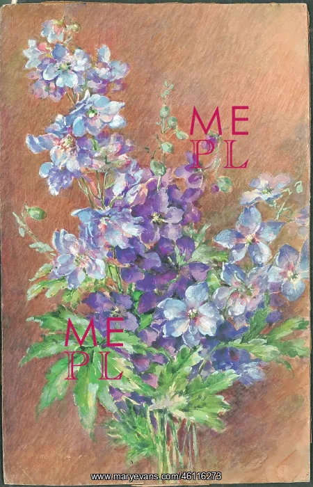 : Larkspurs'? Flowers : Larkspurs'? Flowers