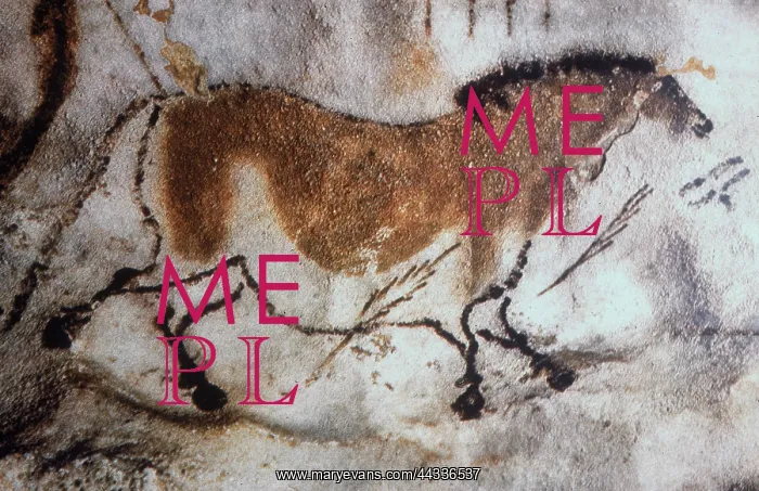 : Lascaux cave painting : Lascaux cave painting