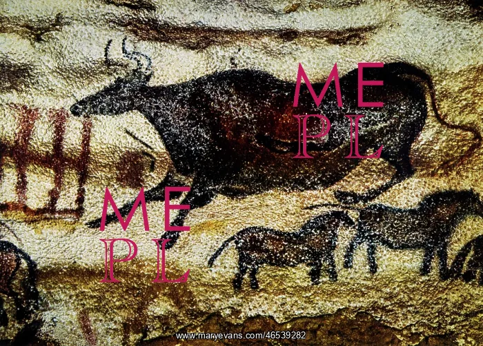  : Lascaux Cave Painting