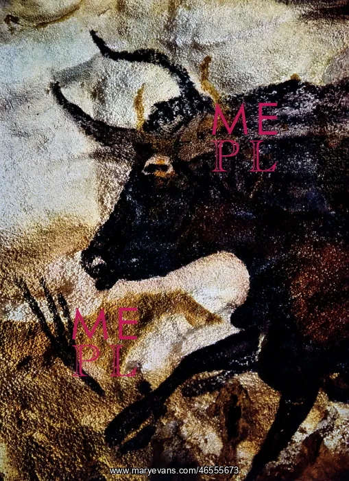  : Lascaux Cave Painting