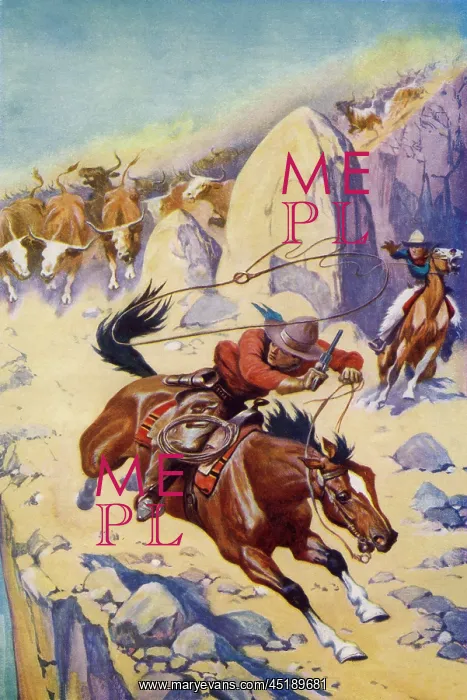 : Lassoing a cattle thief : Lassoing a cattle thief