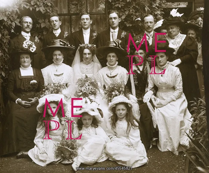 : Late Victorian Wedding party : Late Victorian Wedding party