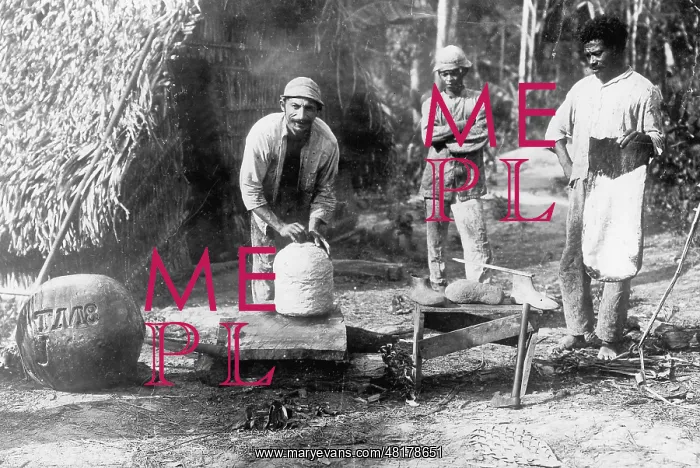 : Latex preparation in Brazil, 1932 : Latex preparation in Brazil, 1932