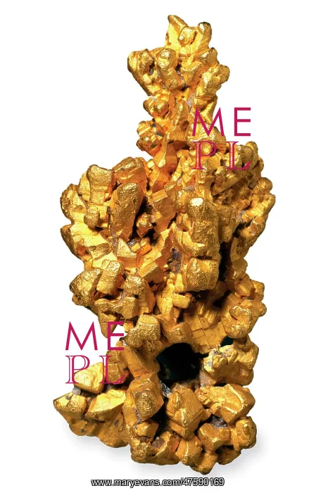 : The Latrobe gold nugget : The Latrobe gold nugget