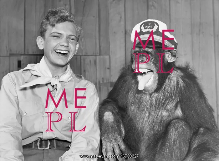 : Laughing boy scout and monkey wearing hat : Laughing boy scout and monkey wearing hat