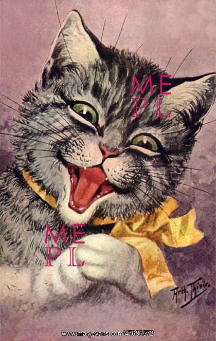  : Laughing Cat