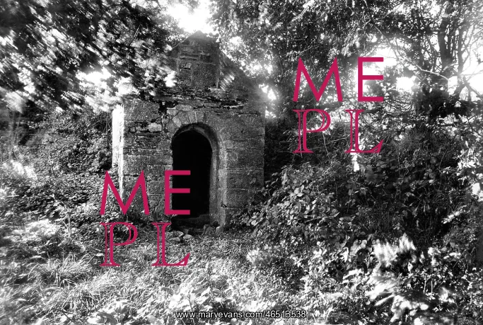  : Launceston, St Stephen's Holy Well 1911