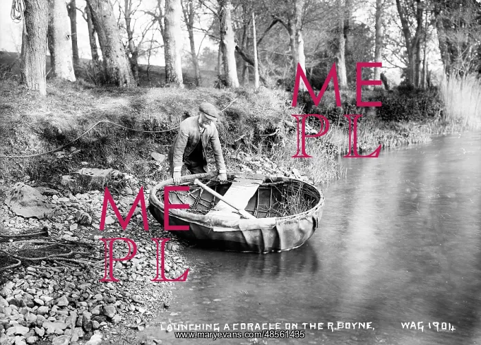 : Launching a Coracle on the R. Boyne : Launching a Coracle on the R. Boyne