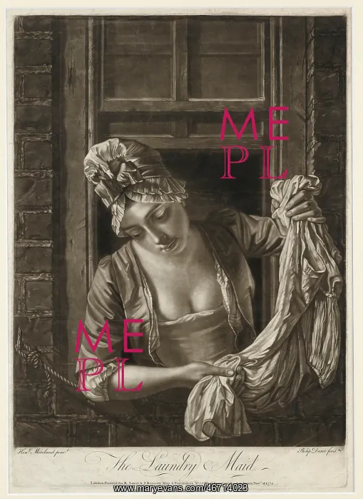 : The Laundry Maid : The Laundry Maid