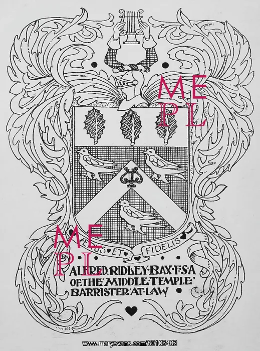 : Laura Ethel Larcombe : Laura Ethel Larcombe